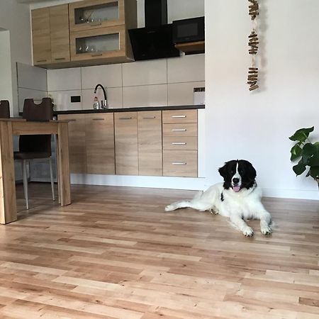 Apartmany A&Z Hořice na Šumavě 외부 사진