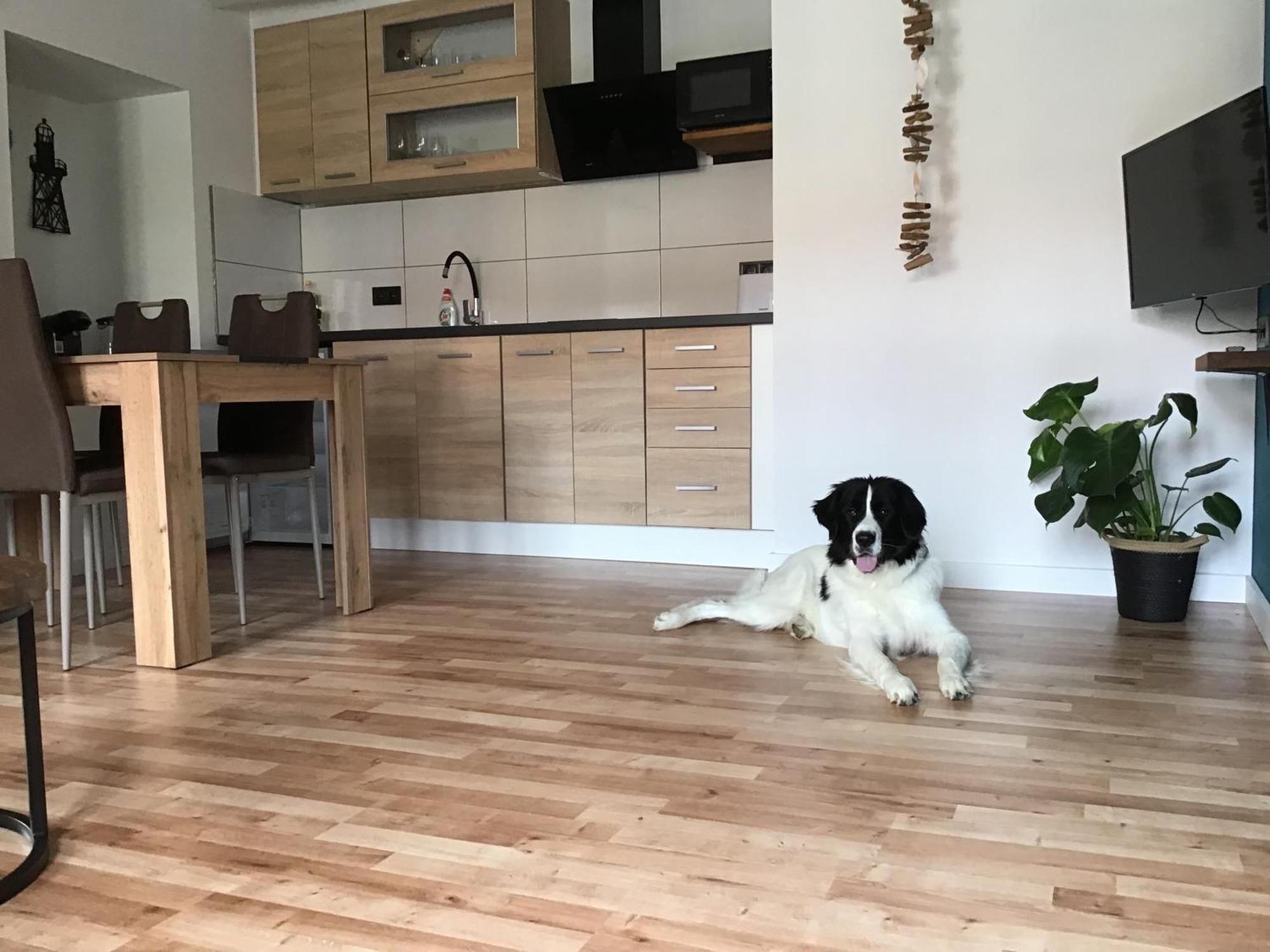 Apartmany A&Z Hořice na Šumavě 외부 사진